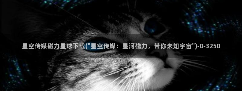 星空传媒 迅雷资源下载：星空传媒磁力星球下载(\